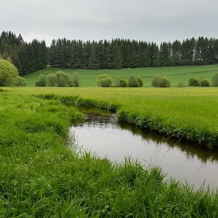 Gruene Wiese - Gaeste-minibungalow In Der Edermuehle *