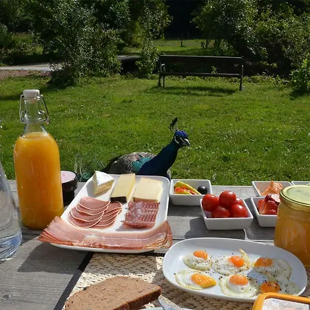 公寓 Gruene Wiese - Gaeste-minibungalow In Der Edermuehle *