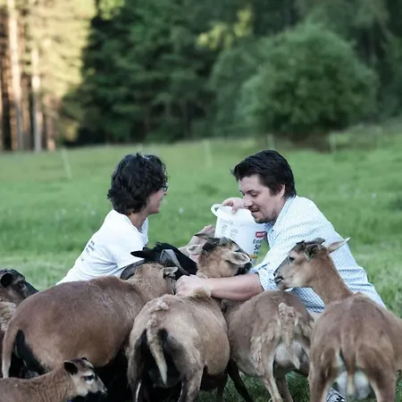 Gruene Wiese - Gaeste-minibungalow In Der Edermuehle Grosspertholz
