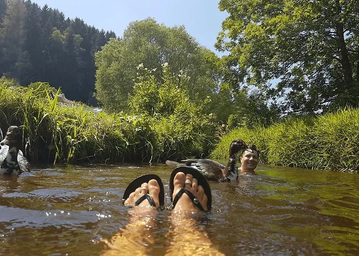 Lejlighed Gruene Wiese - Gaeste-minibungalow In Der Edermuehle