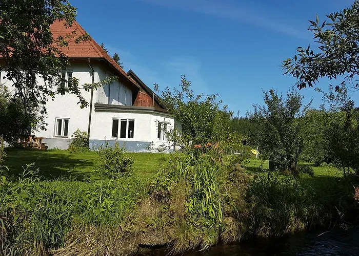 Gruene Wiese - Gaeste-minibungalow In Der Edermuehle Lejlighed Grosspertholz
