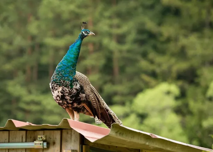 Lejlighed Gruene Wiese - Gaeste-minibungalow In Der Edermuehle *