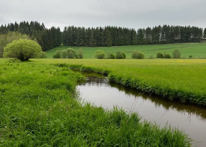 Gruene Wiese - Gaeste-minibungalow In Der Edermuehle *