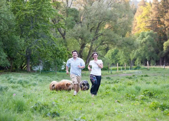 Gruene Wiese - Gaeste-minibungalow In Der Edermuehle *