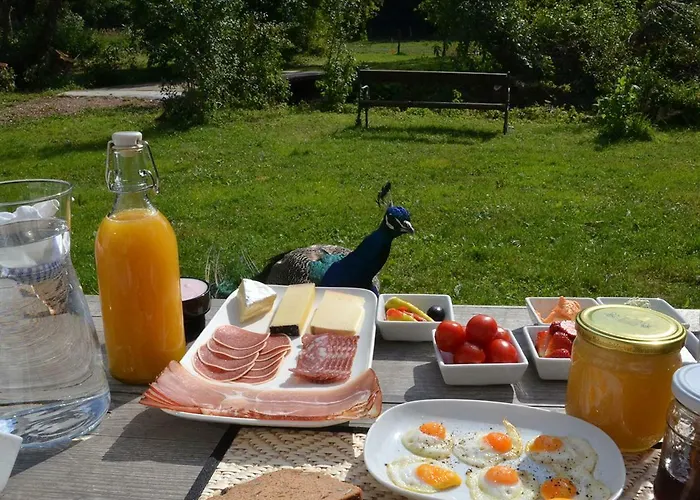 Lejlighed Gruene Wiese - Gaeste-minibungalow In Der Edermuehle *