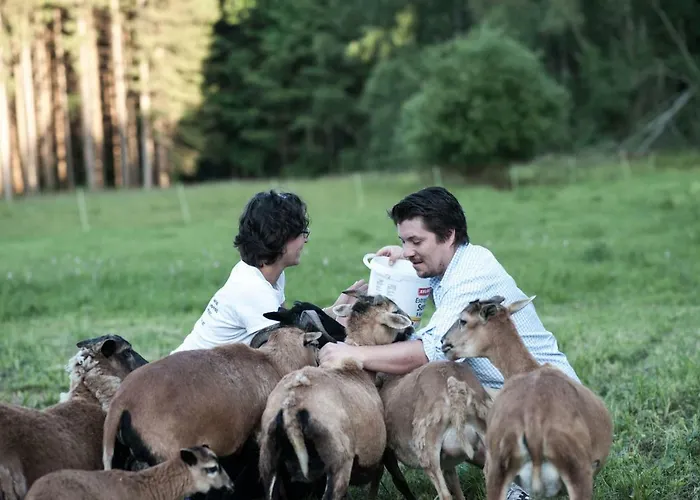 Gruene Wiese - Gaeste-minibungalow In Der Edermuehle Grosspertholz