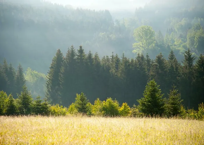 Gruene Wiese - Gaeste-minibungalow In Der Edermuehle *