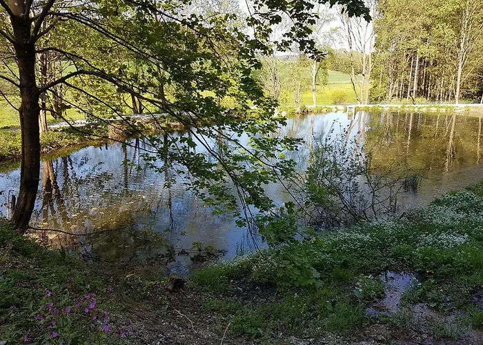 Gruene Wiese - Gaeste-minibungalow In Der Edermuehle Lejlighed