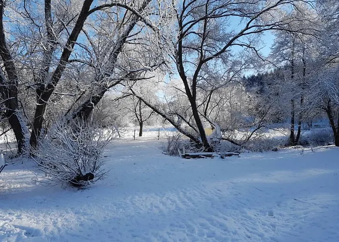Gruene Wiese - Gaeste-minibungalow In Der Edermuehle